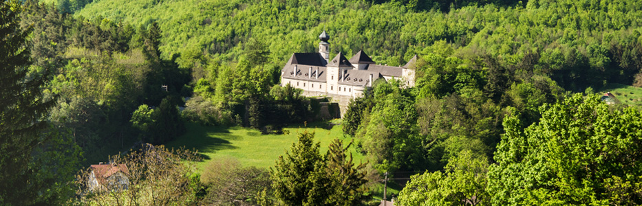 Austria Optional Tours