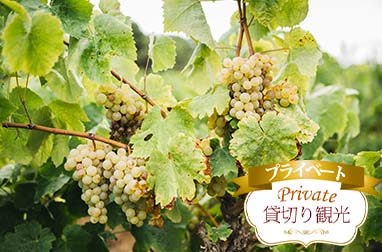 【プライベート】バルセロナ発・専用車で行く！ローカル・オーガニック・ワイナリー「7PAMS」見学＆試飲＋パエリアランチ（日本語観光ガイド付き）