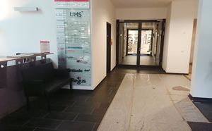 マイバスドイツ