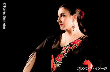 マドリードの老舗タブラオ「トーレス・ベルメハス」で本場のフラメンコを鑑賞!