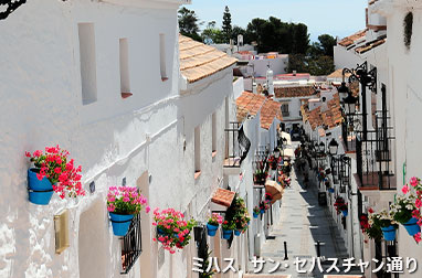 アンダルシアの絶景白い村ミハス