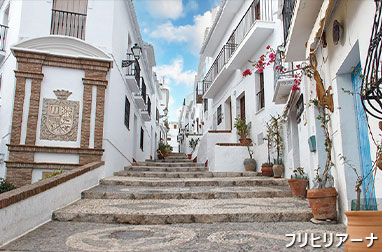 フリヒリアーナ