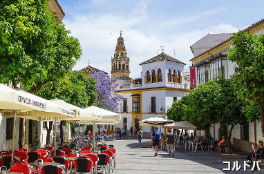 コルドバのメスキータ