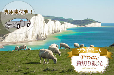 専用車+日本語公認ガイドと行く白亜の岸壁セブンシスターズとアンティークの街ルイスor中世の港街ライ1日観光