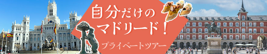 【マドリード半日観光】観光もショッピングもアレンジ自由自在♪あなただけのプライベートガイド付き！