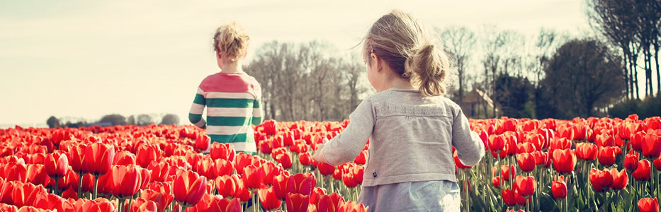 The Netherlands Optional Tours