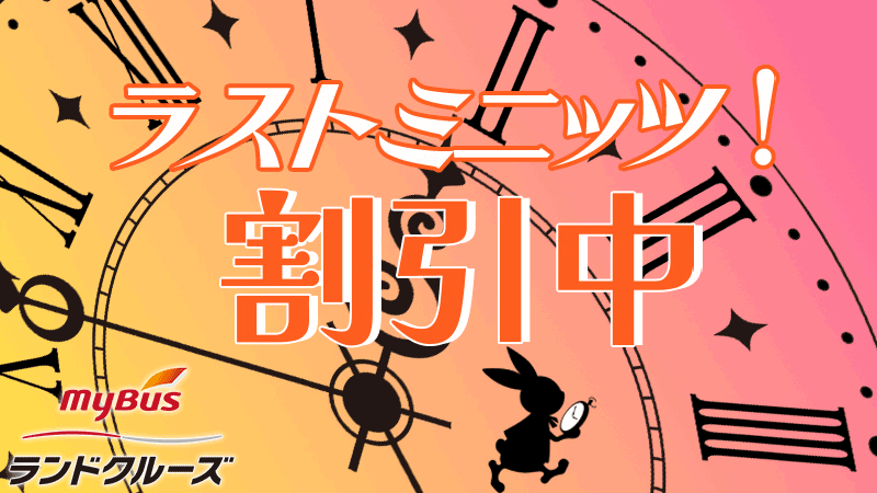 マイバスランドクルーズラストミニッツ割引