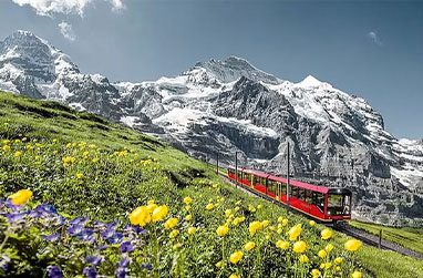 【チューリッヒ発】ユングフラウヨッホ 日帰り観光ツアー｜アイガーエクスプレス＆氷河体験（英語ガイド）